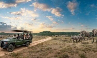 South Africa 2 People Package --- 9 nights / 10 days